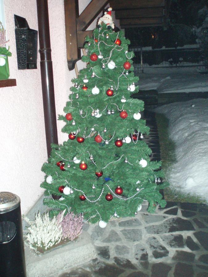 Casa Salvaterra Affittacamere Pinzolo Εξωτερικό φωτογραφία